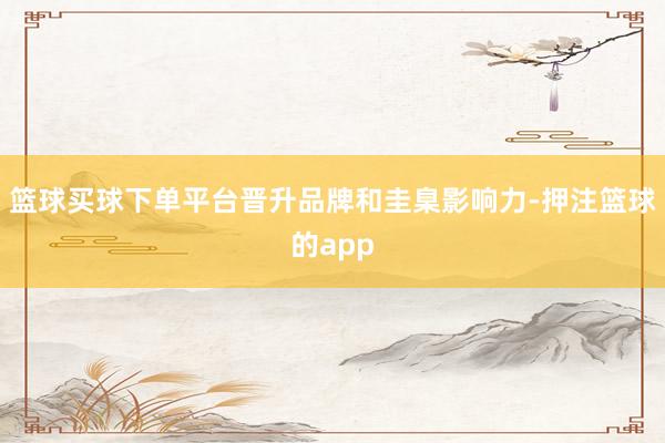 篮球买球下单平台晋升品牌和圭臬影响力-押注篮球的app