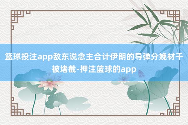 篮球投注app敌东说念主合计伊朗的导弹分娩材干被堵截-押注篮球的app