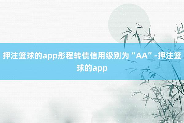 押注篮球的app彤程转债信用级别为“AA”-押注篮球的app
