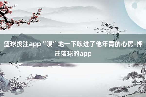 篮球投注app“嗖”地一下吹进了他年青的心房-押注篮球的app