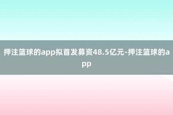 押注篮球的app拟首发募资48.5亿元-押注篮球的app