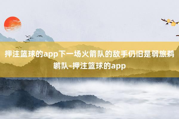 押注篮球的app下一场火箭队的敌手仍旧是弱旅鹈鹕队-押注篮球的app
