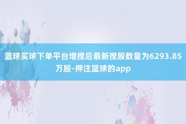 篮球买球下单平台增捏后最新捏股数量为6293.85万股-押注篮球的app