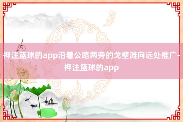 押注篮球的app沿着公路两旁的戈壁滩向远处推广-押注篮球的app