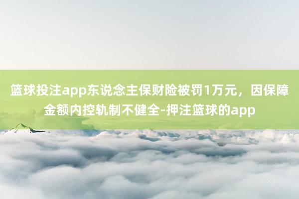 篮球投注app东说念主保财险被罚1万元，因保障金额内控轨制不健全-押注篮球的app