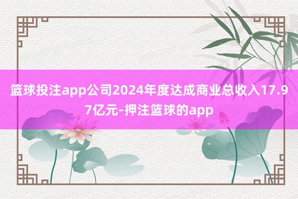 篮球投注app公司2024年度达成商业总收入17.97亿元-押注篮球的app