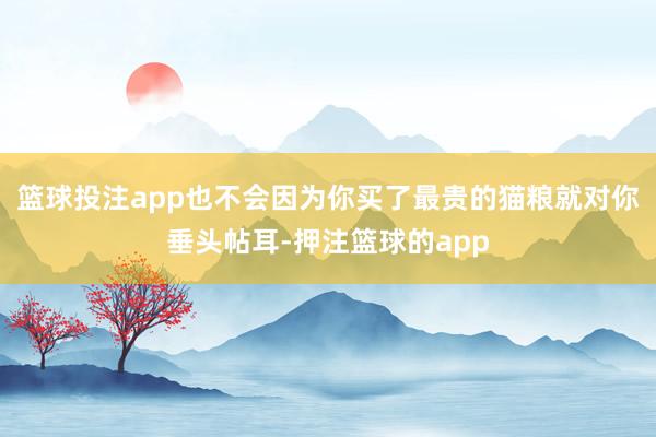 篮球投注app也不会因为你买了最贵的猫粮就对你垂头帖耳-押注篮球的app