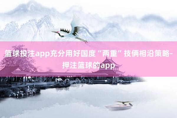 篮球投注app充分用好国度“两重”技俩相沿策略-押注篮球的app