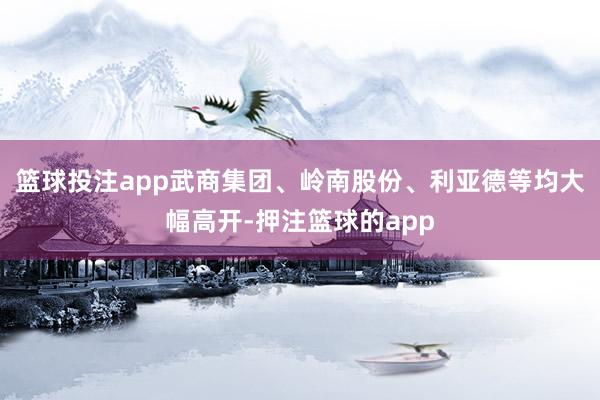 篮球投注app武商集团、岭南股份、利亚德等均大幅高开-押注篮球的app