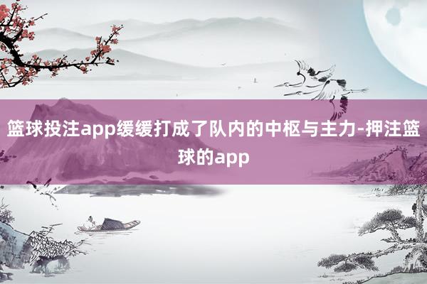 篮球投注app缓缓打成了队内的中枢与主力-押注篮球的app