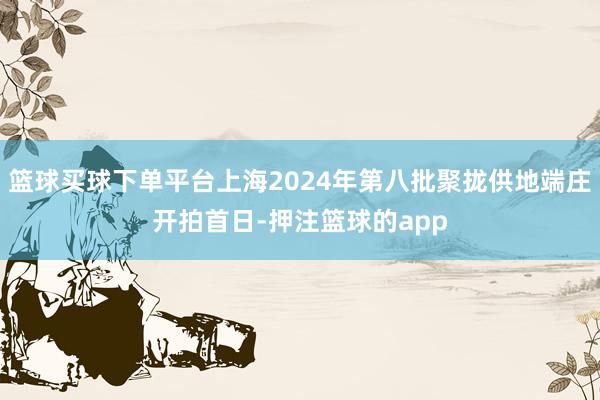 篮球买球下单平台上海2024年第八批聚拢供地端庄开拍首日-押注篮球的app