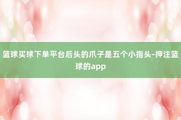 篮球买球下单平台后头的爪子是五个小指头-押注篮球的app