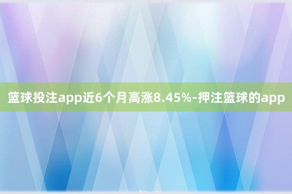 篮球投注app近6个月高涨8.45%-押注篮球的app