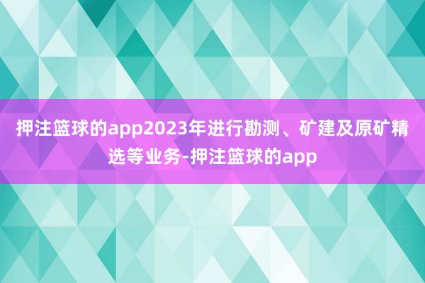 押注篮球的app2023年进行勘测、矿建及原矿精选等业务-押注篮球的app