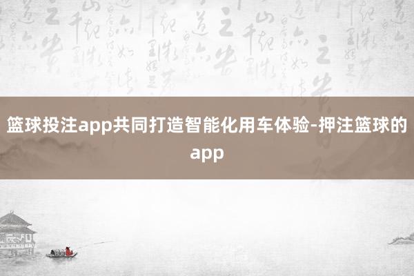 篮球投注app共同打造智能化用车体验-押注篮球的app