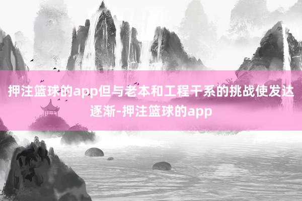 押注篮球的app但与老本和工程干系的挑战使发达逐渐-押注篮球的app