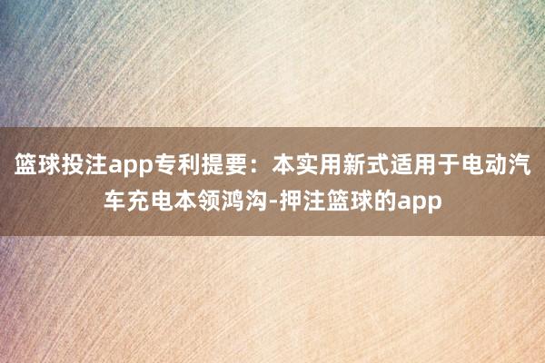 篮球投注app专利提要：本实用新式适用于电动汽车充电本领鸿沟-押注篮球的app