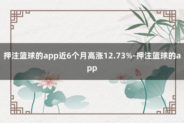 押注篮球的app近6个月高涨12.73%-押注篮球的app
