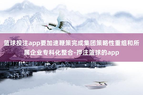 篮球投注app要加速鞭策完成集团策略性重组和所属企业专科化整合-押注篮球的app