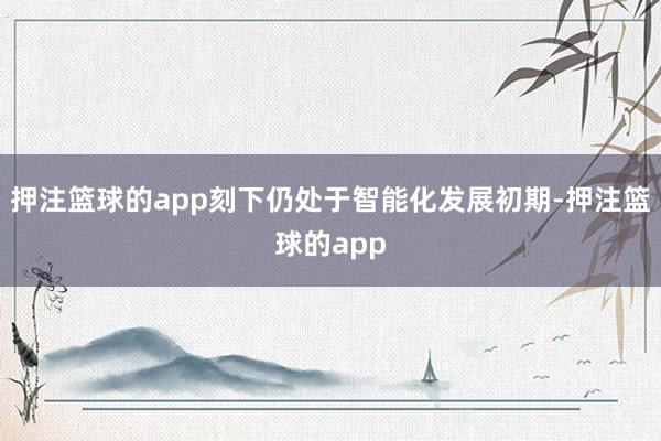 押注篮球的app刻下仍处于智能化发展初期-押注篮球的app