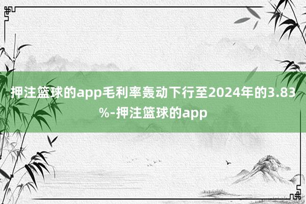 押注篮球的app毛利率轰动下行至2024年的3.83%-押注篮球的app