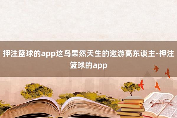 押注篮球的app这鸟果然天生的遨游高东谈主-押注篮球的app