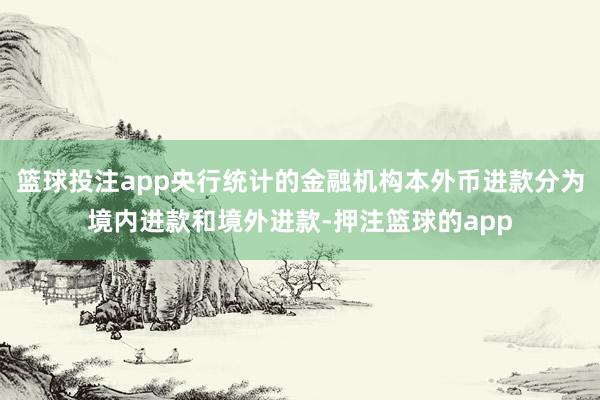 篮球投注app央行统计的金融机构本外币进款分为境内进款和境外进款-押注篮球的app