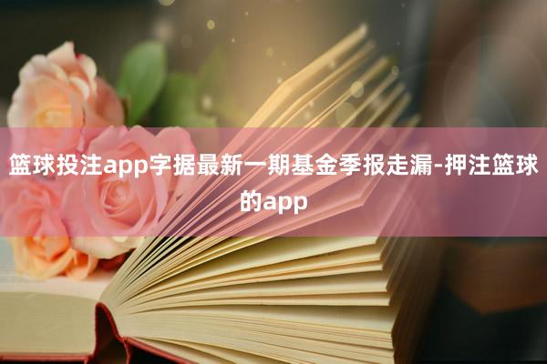 篮球投注app字据最新一期基金季报走漏-押注篮球的app