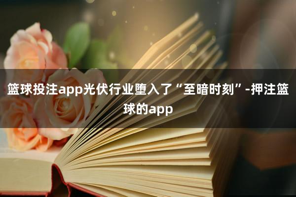 篮球投注app　　光伏行业堕入了“至暗时刻”-押注篮球的app