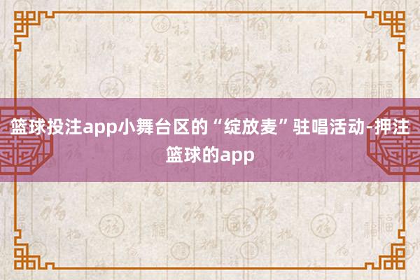 篮球投注app小舞台区的“绽放麦”驻唱活动-押注篮球的app