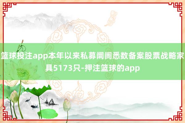 篮球投注app本年以来私募阛阓悉数备案股票战略家具5173只-押注篮球的app