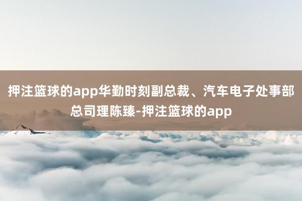 押注篮球的app华勤时刻副总裁、汽车电子处事部总司理陈臻-押注篮球的app