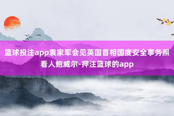 篮球投注app袁家军会见英国首相国度安全事务照看人鲍威尔-押注篮球的app
