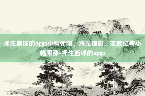 押注篮球的app中科朝阳、海光信息、寒武纪等小幅跟涨-押注篮球的app