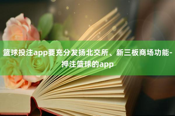 篮球投注app要充分发扬北交所、新三板商场功能-押注篮球的app