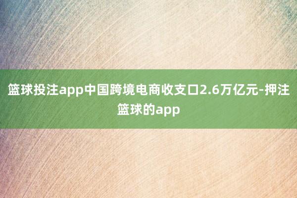 篮球投注app中国跨境电商收支口2.6万亿元-押注篮球的app