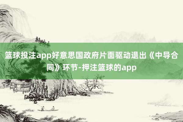 篮球投注app好意思国政府片面驱动退出《中导合同》环节-押注篮球的app