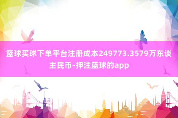 篮球买球下单平台注册成本249773.3579万东谈主民币-押注篮球的app