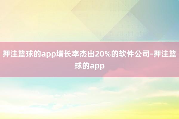 押注篮球的app增长率杰出20%的软件公司-押注篮球的app