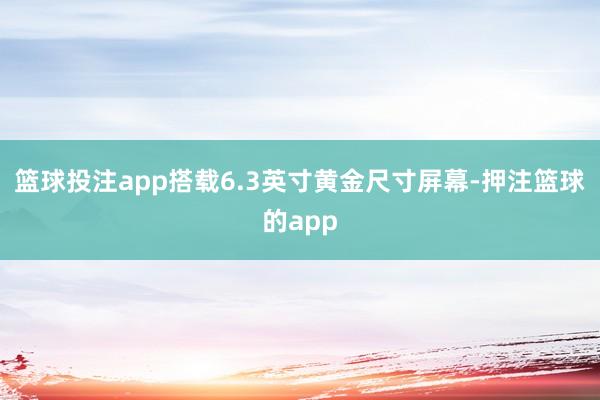 篮球投注app搭载6.3英寸黄金尺寸屏幕-押注篮球的app