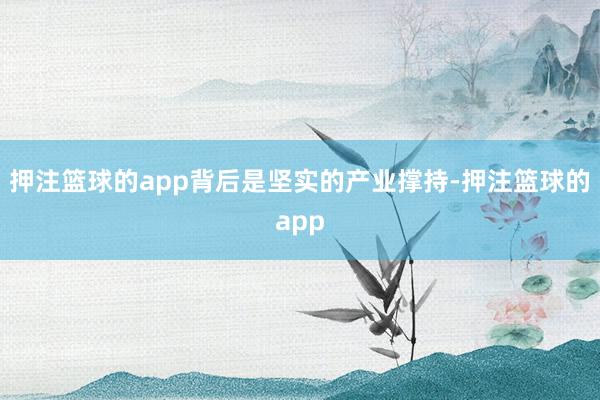 押注篮球的app背后是坚实的产业撑持-押注篮球的app