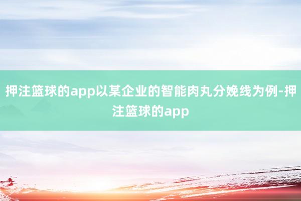 押注篮球的app以某企业的智能肉丸分娩线为例-押注篮球的app