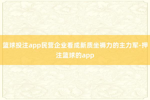 篮球投注app民营企业看成新质坐褥力的主力军-押注篮球的app