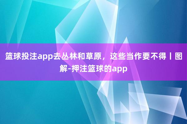 篮球投注app去丛林和草原,这些当作要不得丨图解-押注篮球的app