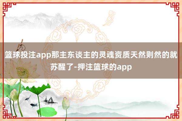 篮球投注app那主东谈主的灵魂资质天然则然的就苏醒了-押注篮球的app