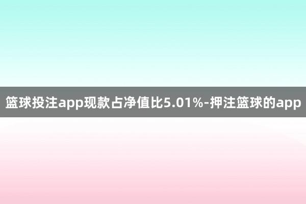 篮球投注app现款占净值比5.01%-押注篮球的app
