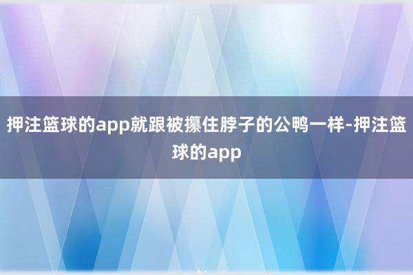 押注篮球的app就跟被攥住脖子的公鸭一样-押注篮球的app