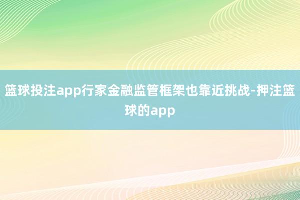 篮球投注app行家金融监管框架也靠近挑战-押注篮球的app