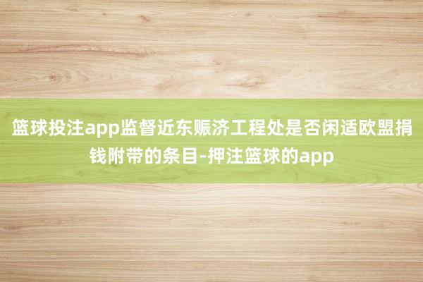篮球投注app监督近东赈济工程处是否闲适欧盟捐钱附带的条目-押注篮球的app