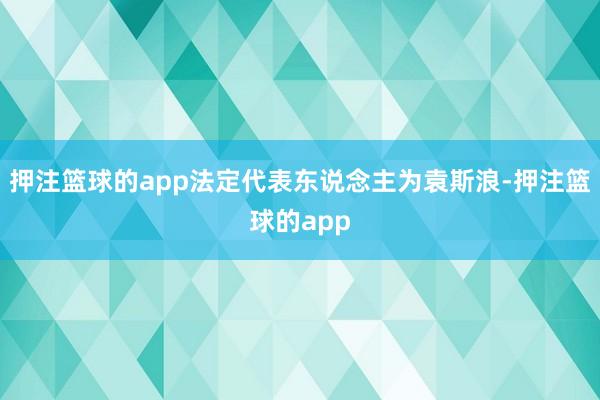 押注篮球的app法定代表东说念主为袁斯浪-押注篮球的app